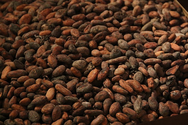 カカオ豆cocoa-1134226_640