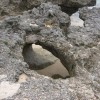 祈りの島久高島　「生まれ変わりの穴」へ引き寄せられて
